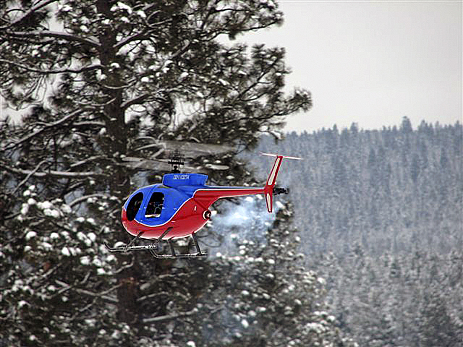 Red and white Hughes too flies right to left against a backdrop of trees and snow