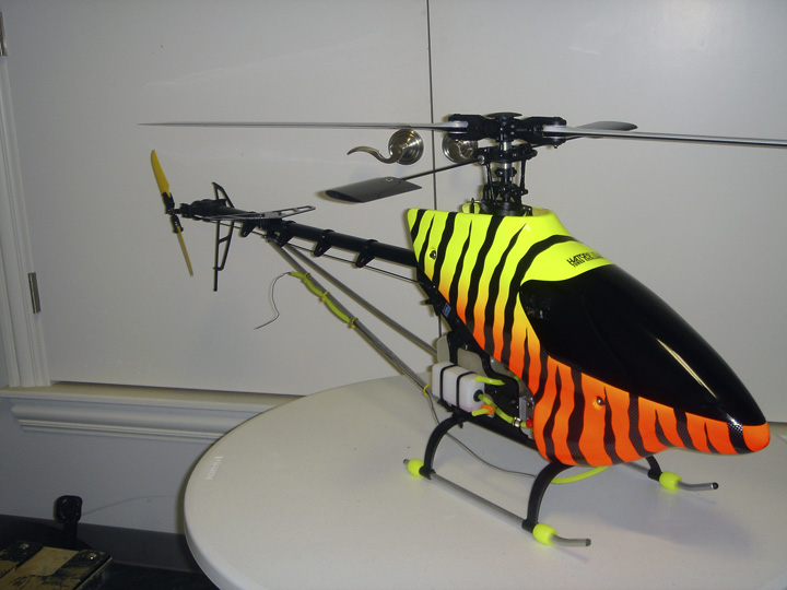 Custom Tiger 50 paint schemes, this one owned by BJ Nichols